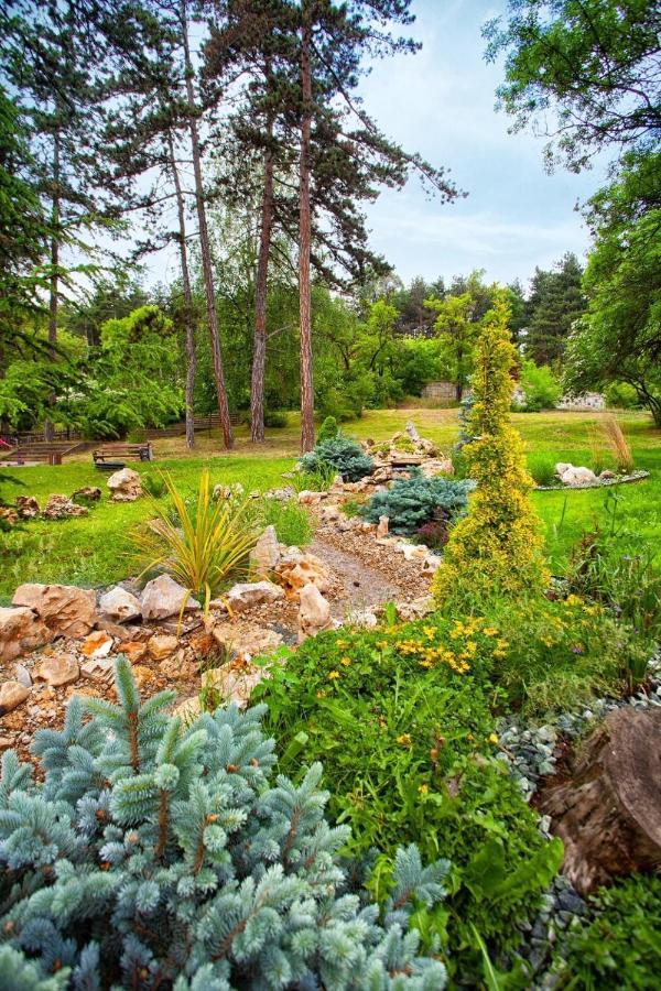 벨린그래드 Borov Park 1 아파트 외부 사진